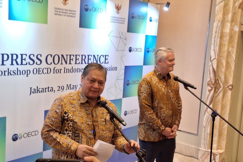 Airlangga Ungkap Tantangan Indonesia dan OECD