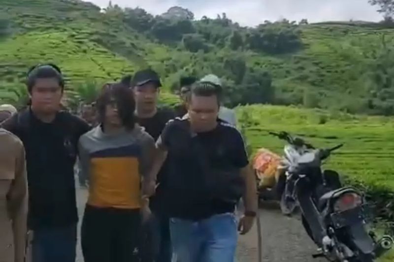 Kabur Usai Bunuh Ibu, Anak Durhaka Berhasil Dibekuk di Kebun Teh